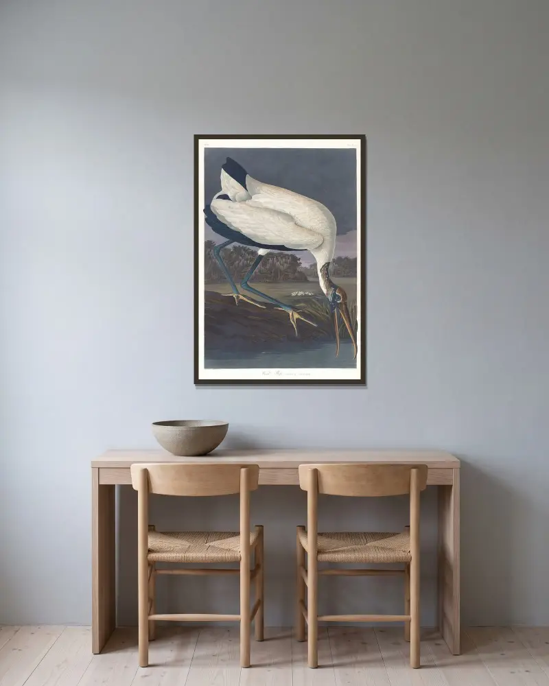 Wood ibis av John James Audubon inramad på en vägg