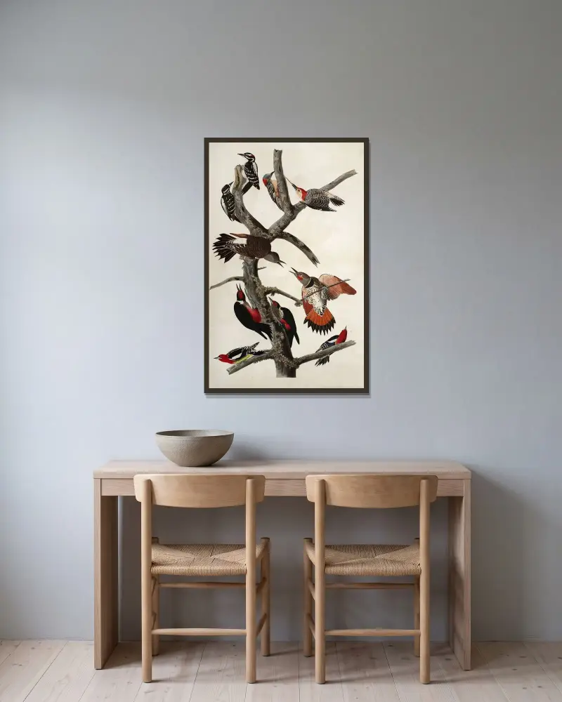 Woodpeckers av John James Audubon inramad på en vägg