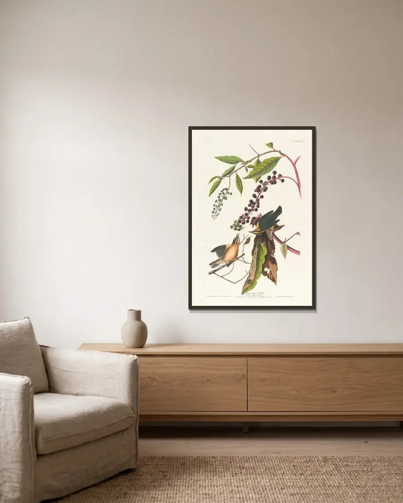 Wurmfressender Sänger von John James Audubon gerahmt an einer Wand