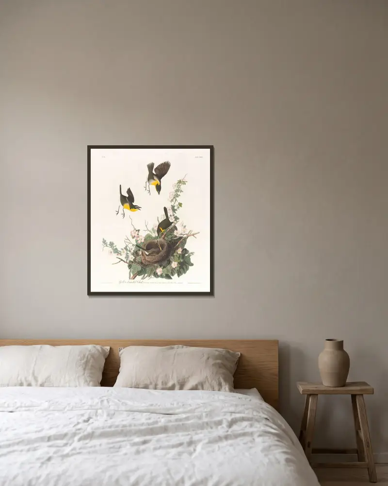 Gulbröstad sångfågel av John James Audubon inramad på en vägg
