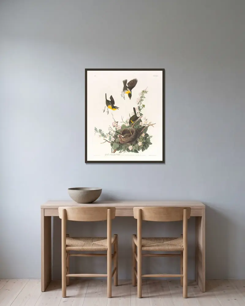 Gulbröstad sångfågel av John James Audubon inramad på en vägg