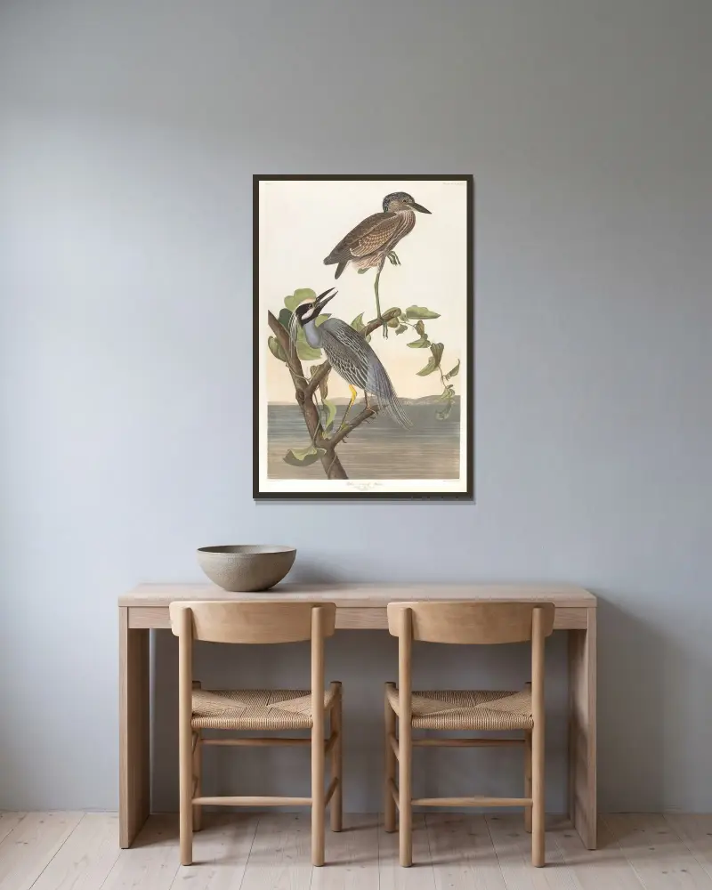 Yellow-crowned heron av John James Audubon inramad på en vägg