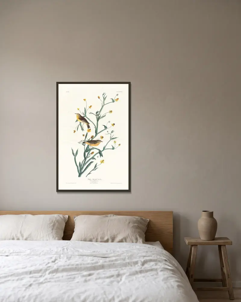 Gul rödsiska av John James Audubon inramad på en vägg