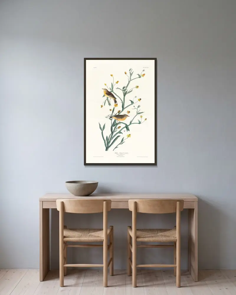 Gul rödsiska av John James Audubon inramad på en vägg