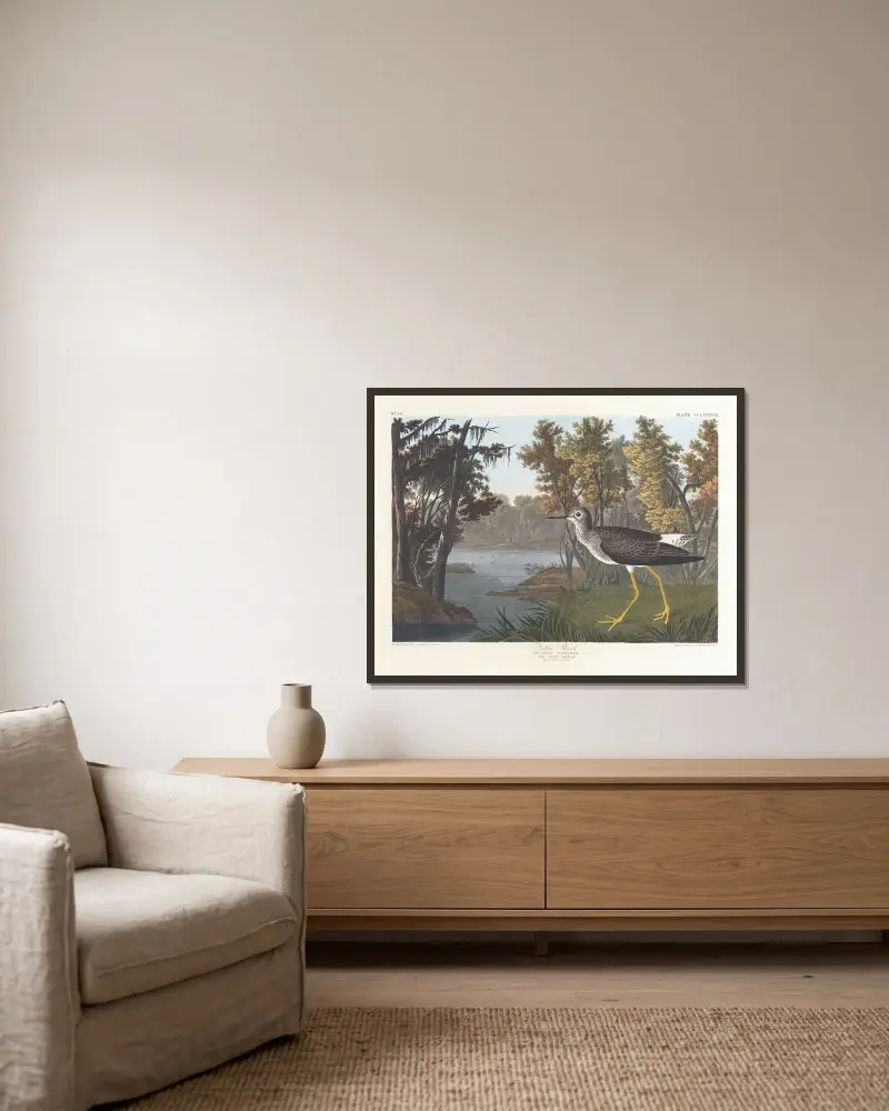 Yellow shank von John James Audubon gerahmt an einer Wand