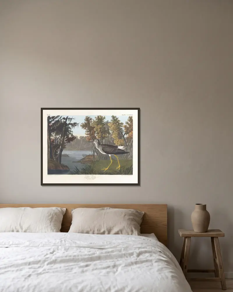 Yellow shank von John James Audubon gerahmt an einer Wand