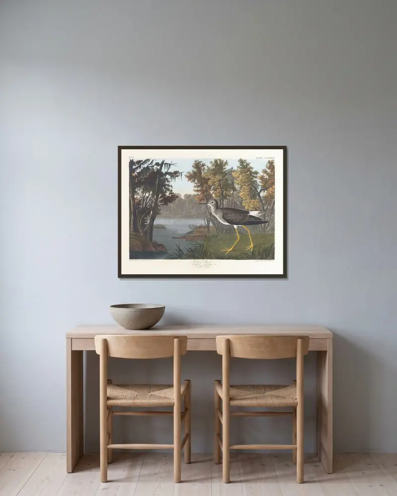 Yellow shank von John James Audubon gerahmt an einer Wand