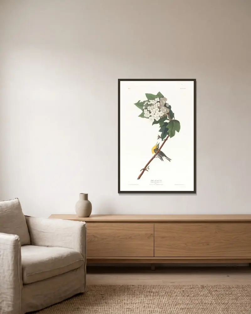 Yellow-throated vireo av John James Audubon inramad på en vägg