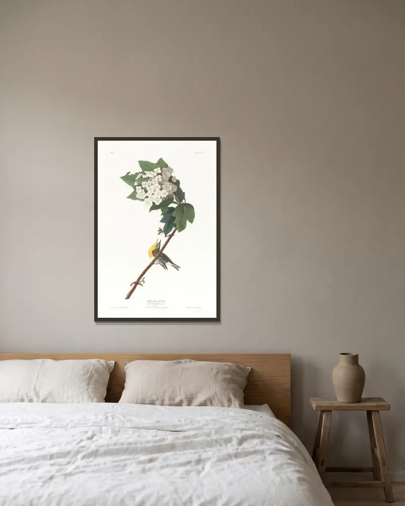Yellow-throated vireo av John James Audubon inramad på en vägg