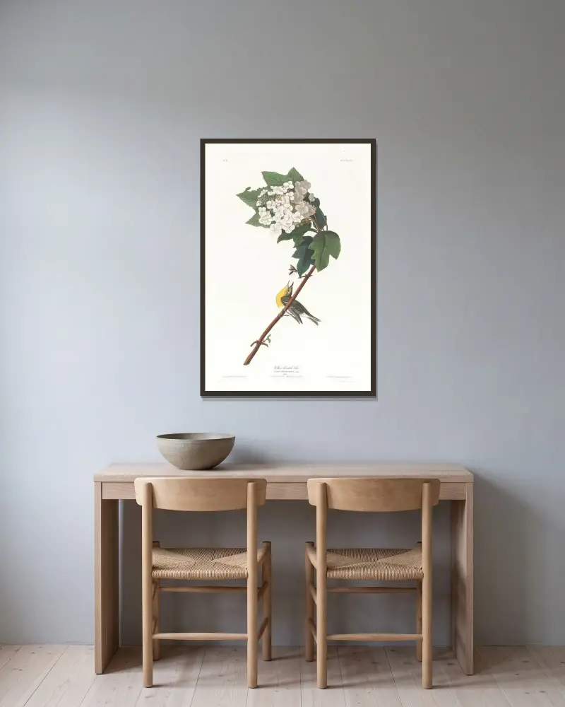 Yellow-throated vireo av John James Audubon inramad på en vägg