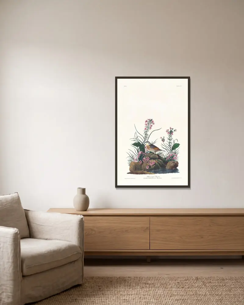 Żółtoskrzydły wróbel, John James Audubon w ramie na ścianie