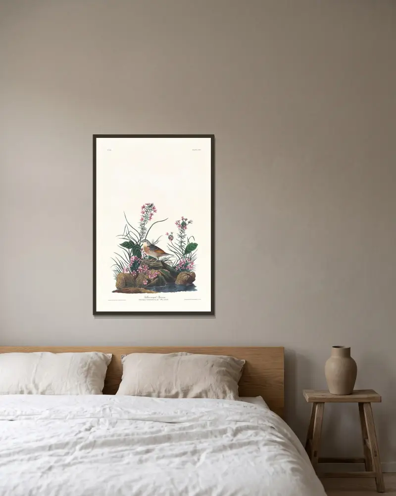 Żółtoskrzydły wróbel, John James Audubon w ramie na ścianie