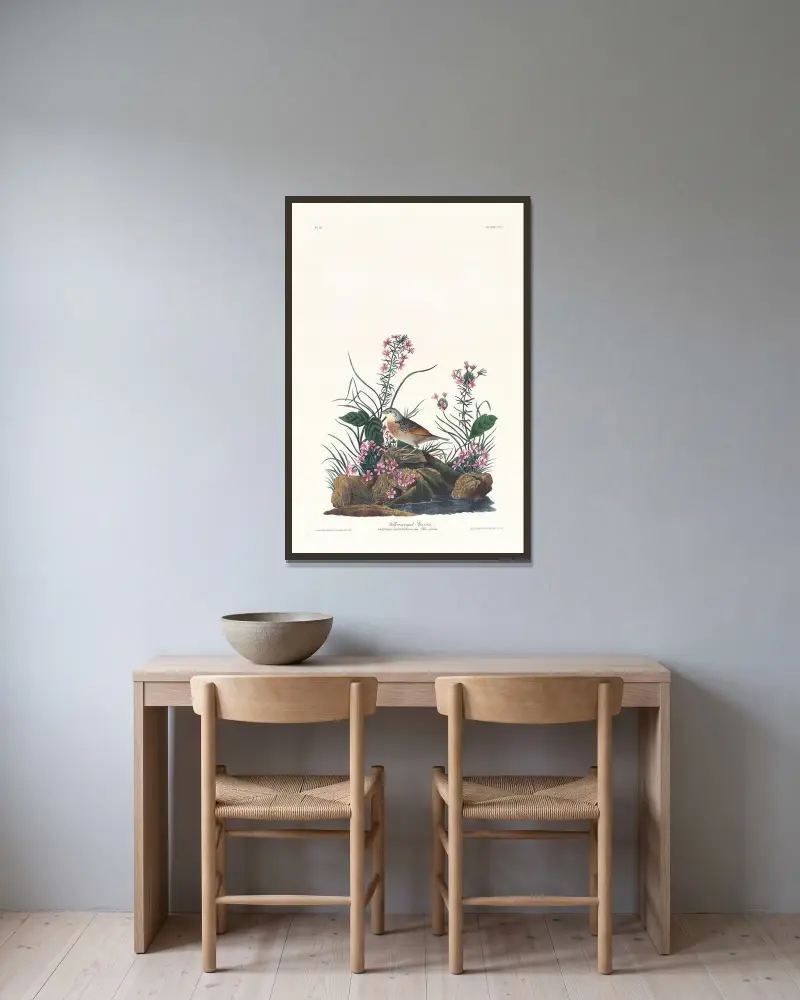 Żółtoskrzydły wróbel, John James Audubon w ramie na ścianie