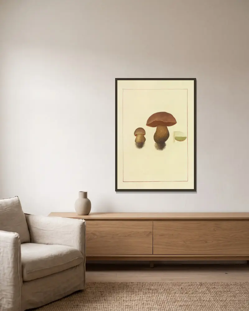 Icons fungorum circa Halifax sponte Nascentium Pl.063 av James Bolton inramad på en vägg