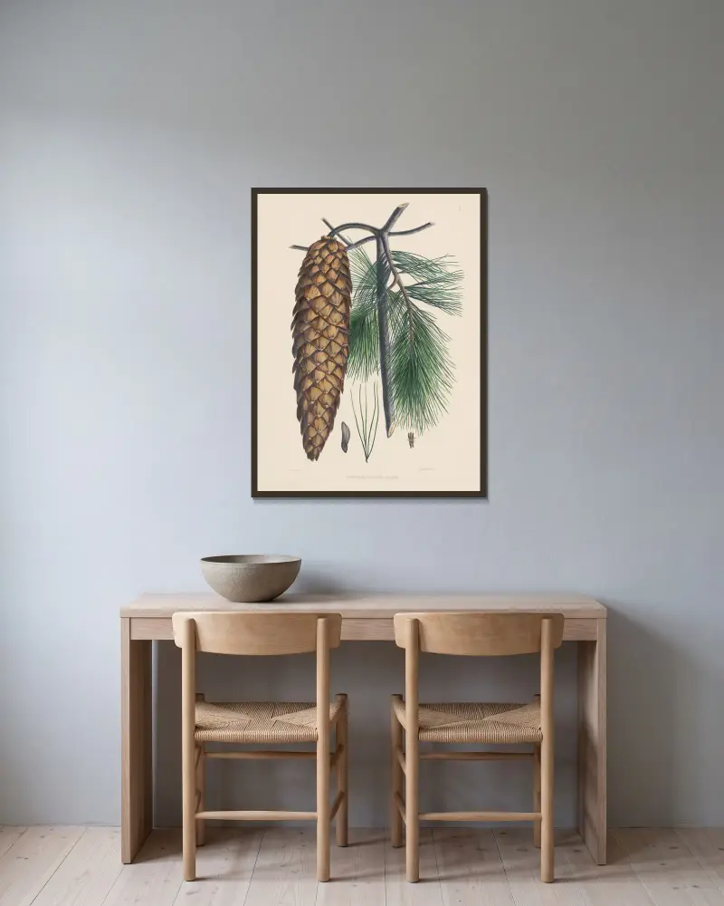 Pinus Lambertiana av Edward James Ravenscroft inramad på en vägg