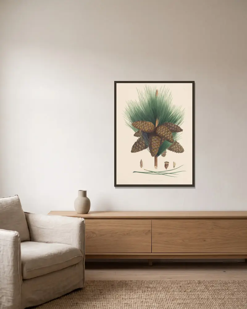 Pinus pinaster von Edward James Ravenscroft gerahmt an einer Wand