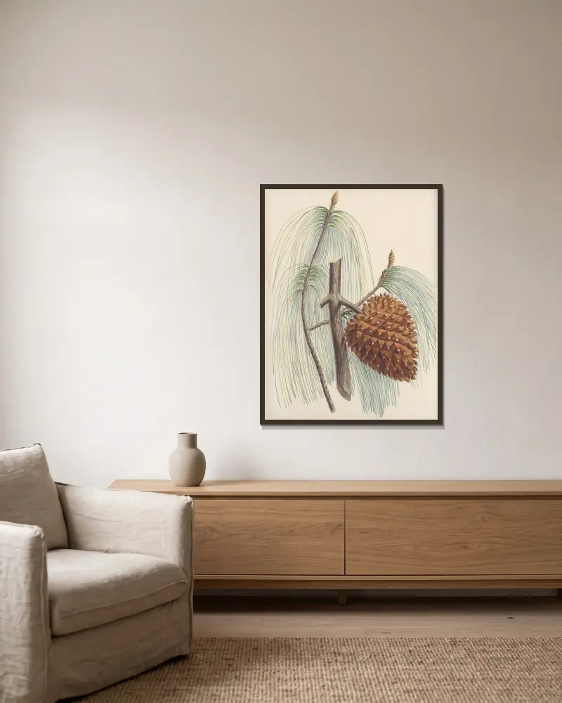 Pinus sabiniana von Edward James Ravenscroft gerahmt an einer Wand