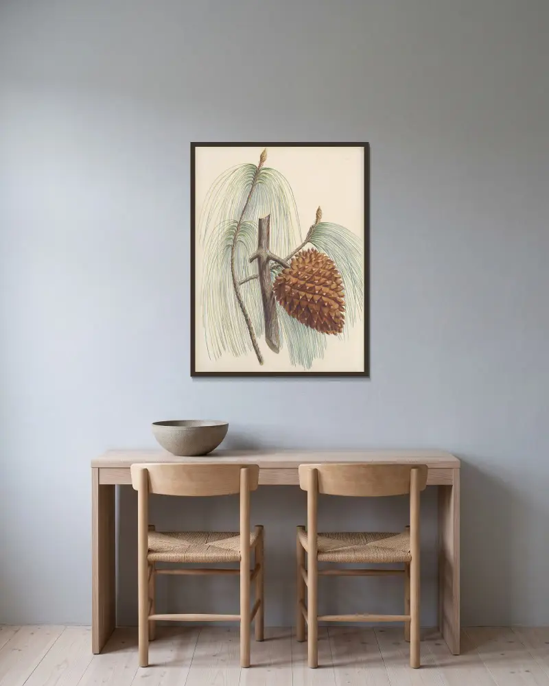 Pinus sabiniana von Edward James Ravenscroft gerahmt an einer Wand