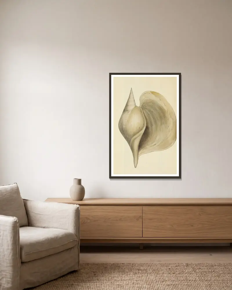 Great Britains mineralogi och konkologi, plansch 484 av James Sowerby inramad på en vägg