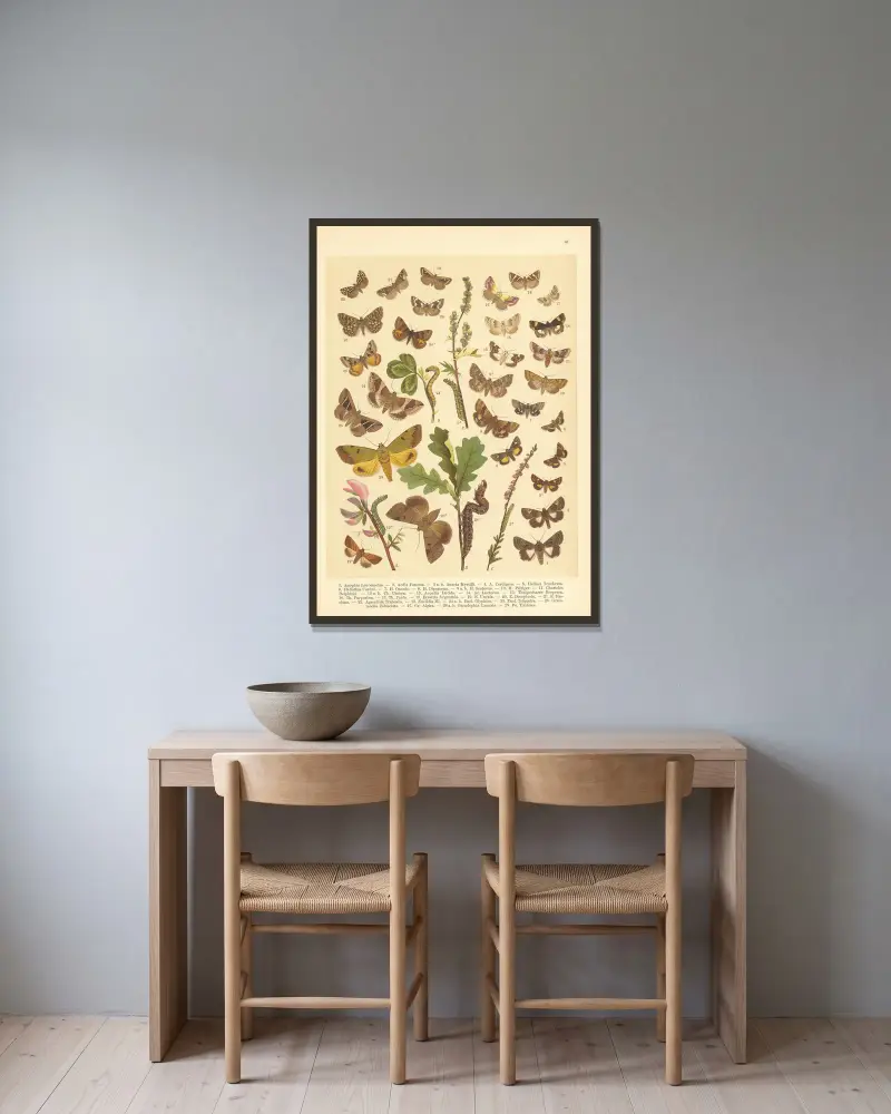 Atlas der Schmetterlinge Mitteleuropas, Tafel 42 von Jan John gerahmt an einer Wand