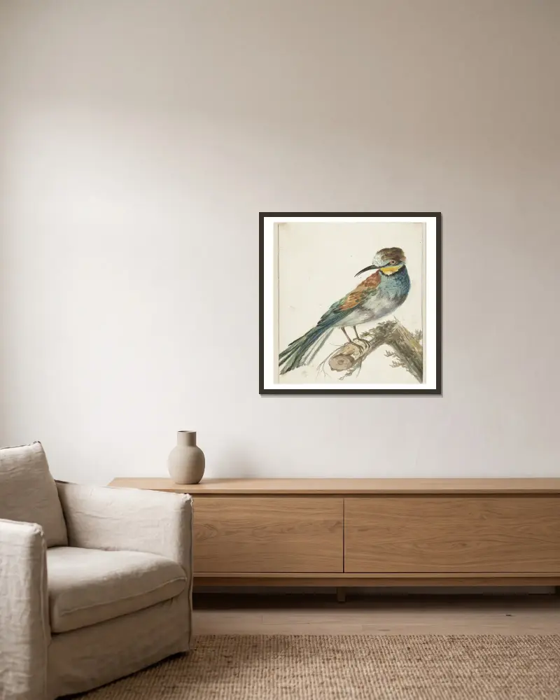 Bijeneter (Merops apiaster) av Jan Weenix inramad på en vägg