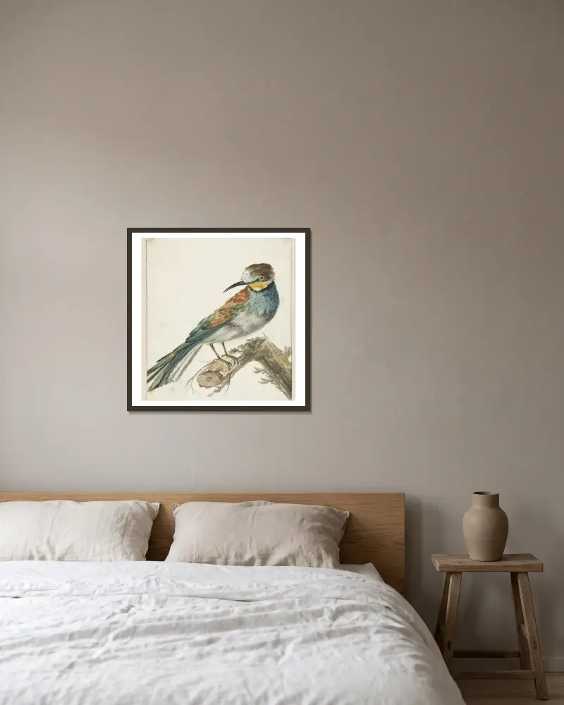 Bijeneter (Merops apiaster) av Jan Weenix inramad på en vägg