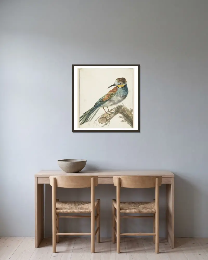 Bijeneter (Merops apiaster) av Jan Weenix inramad på en vägg