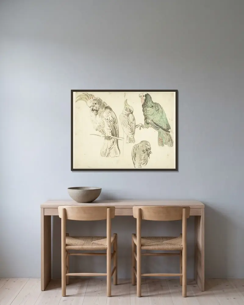 Vier Studien von Kakadus von Jan Weenix gerahmt an einer Wand