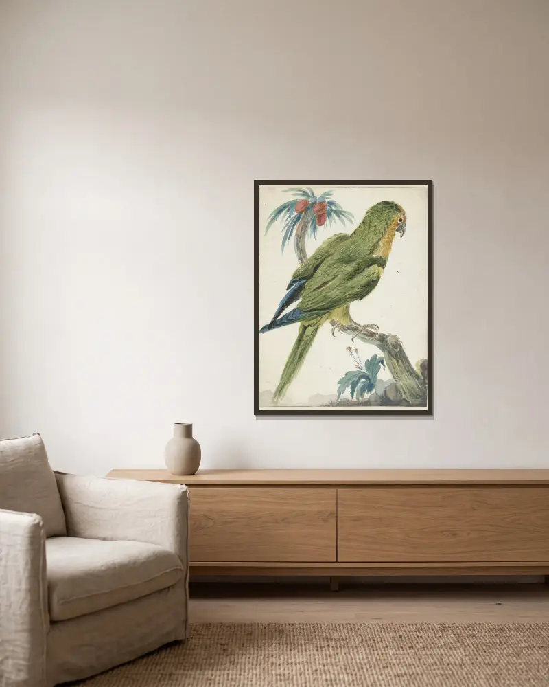 Geelvoorhoofd parkiet (Bolborhyuchus aurifrons) av Jan Weenix inramad på en vägg