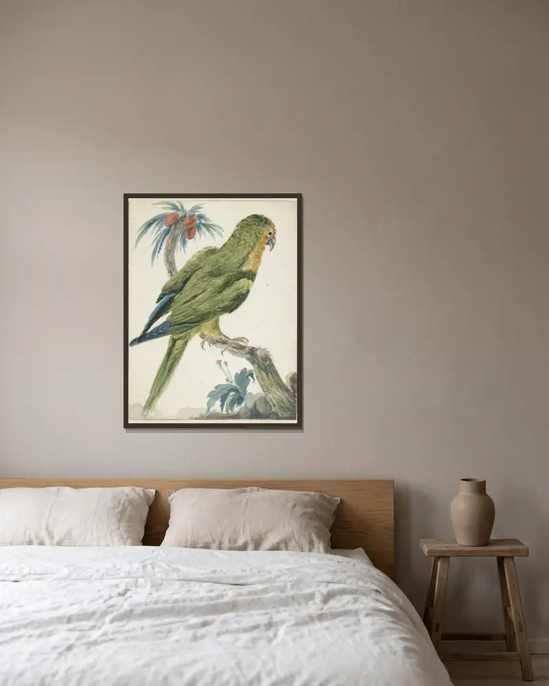 Geelvoorhoofd parkiet (Bolborhyuchus aurifrons) av Jan Weenix inramad på en vägg