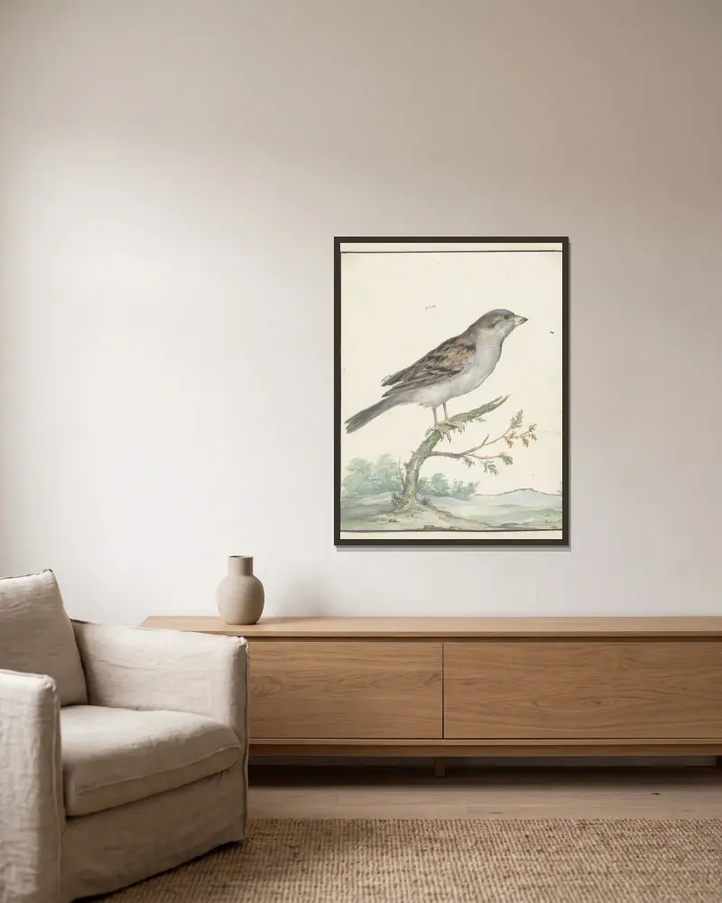 Haussperling von Jan Weenix gerahmt an einer Wand