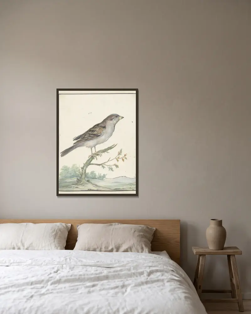 Haussperling von Jan Weenix gerahmt an einer Wand