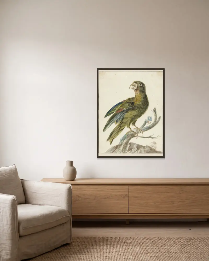 Parakeet av Jan Weenix inramad på en vägg