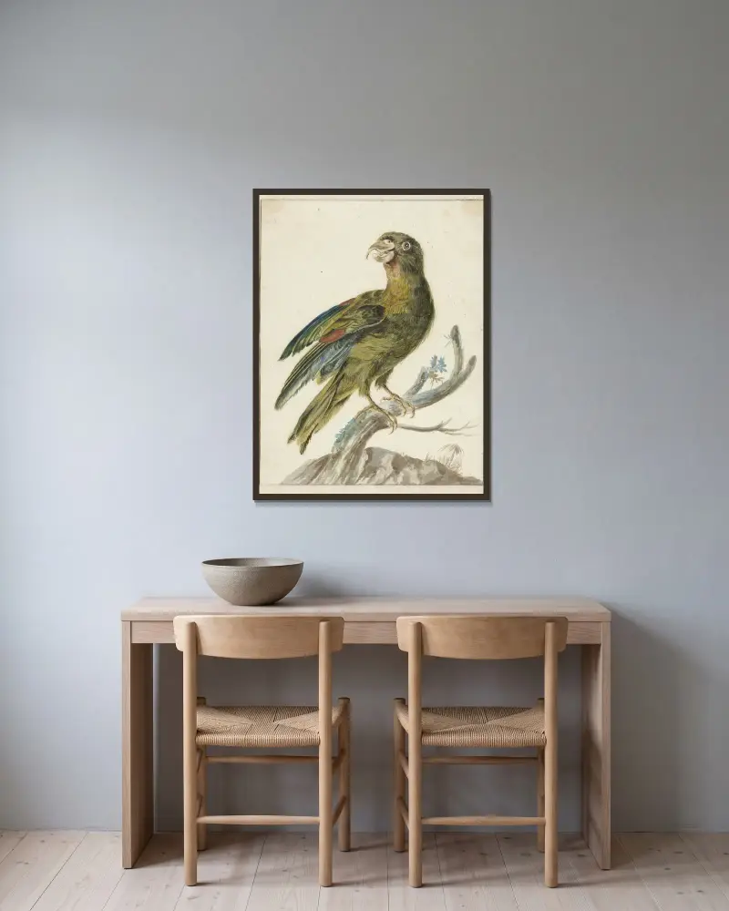 Parakeet av Jan Weenix inramad på en vägg