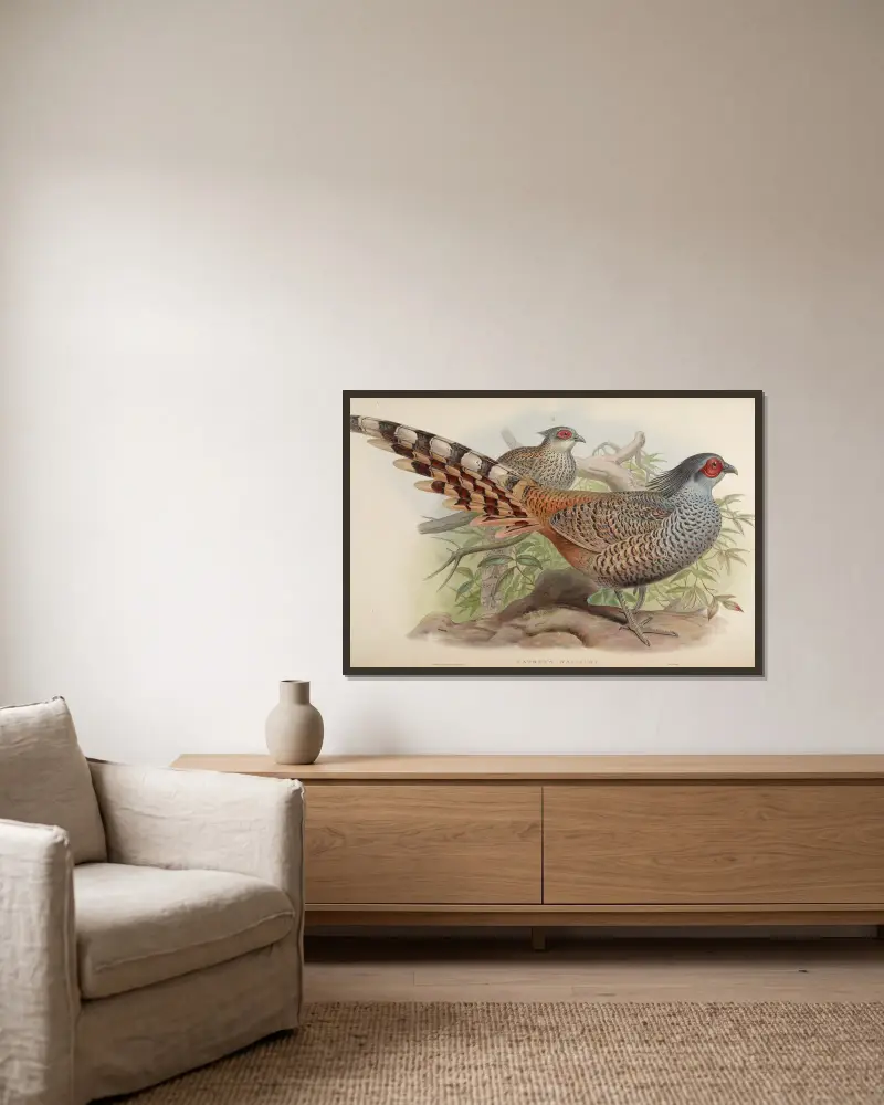 Cheer (Catreus Wallichii) av John Gould inramad på en vägg