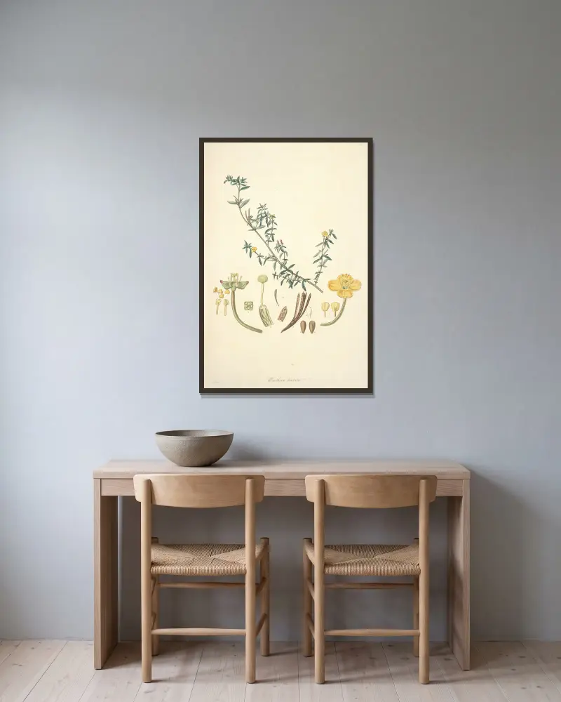 Collectanea botanica Pl.10 av John Lindley inramad på en vägg
