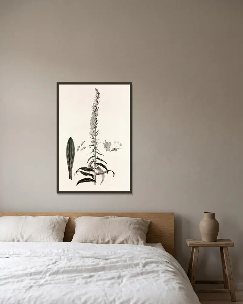 Collectanea botanica Pl.35 av John Lindley inramad på en vägg