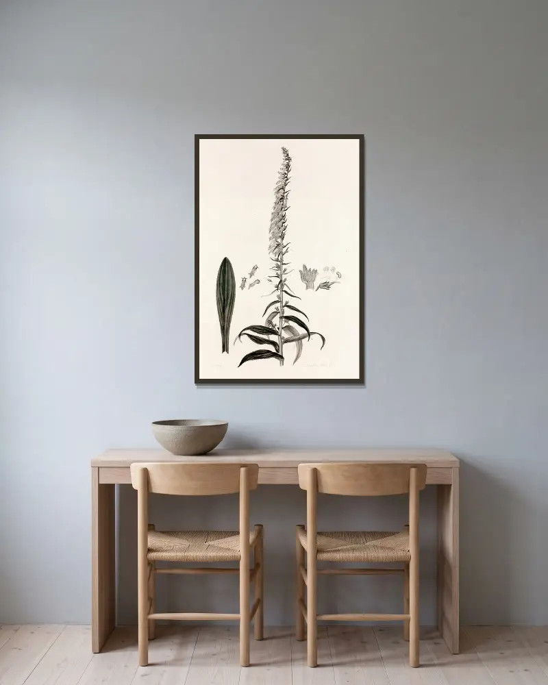 Collectanea botanica Pl.35 av John Lindley inramad på en vägg