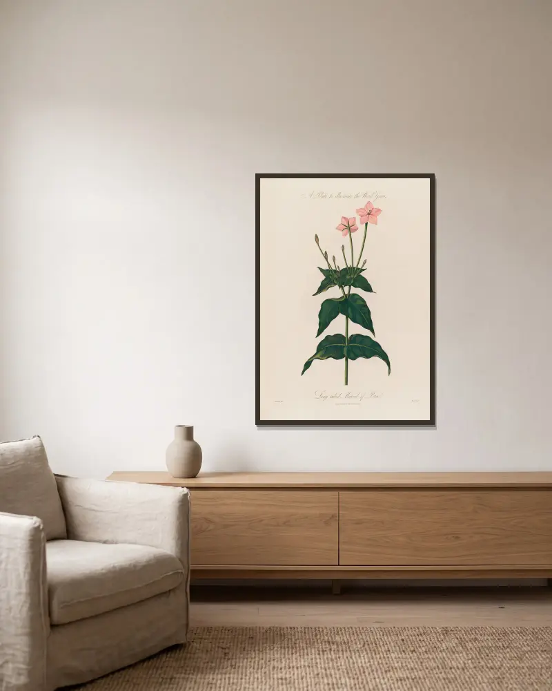 Plansch som illustrerar ordet släkte. Långpipig underblomma av Robert John Thornton inramad på en vägg