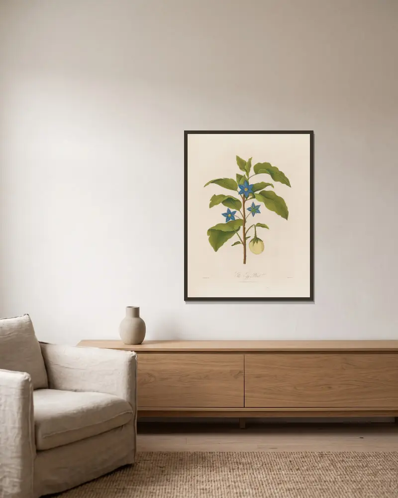 Die Aubergine von Robert John Thornton gerahmt an einer Wand