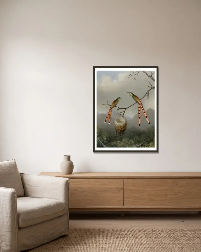 Dwa kolibry z młodymi, Martin Johnson Heade w ramie na ścianie