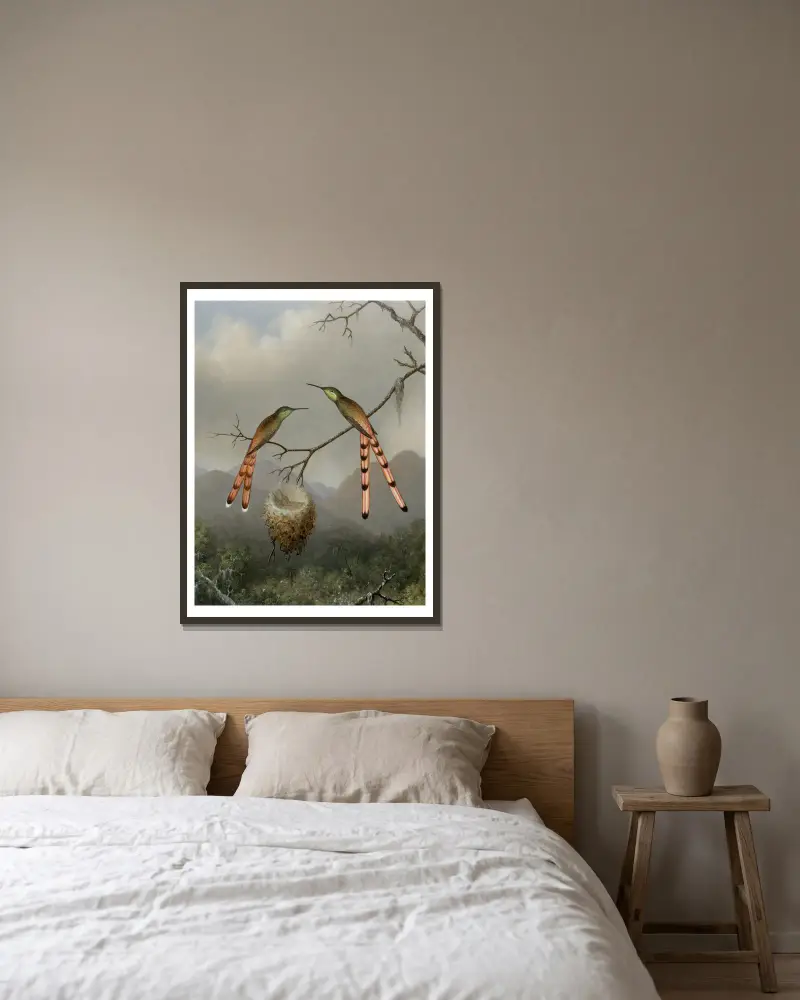 Dwa kolibry z młodymi, Martin Johnson Heade w ramie na ścianie