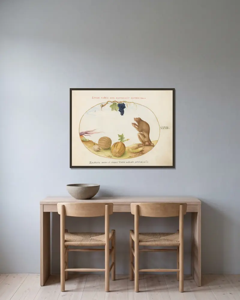 En tartarin (berberapa) med frukt och en snäcka av Joris Hoefnagel inramad på en vägg