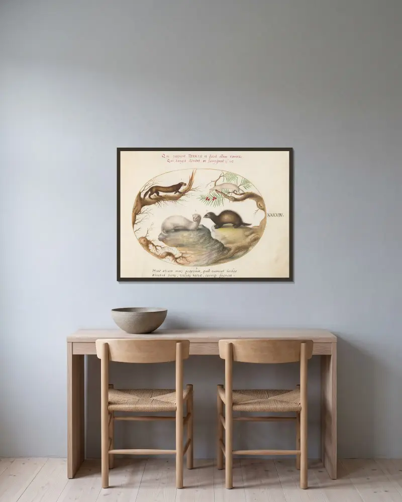 Polecat, Mink, and Ermine av Joris Hoefnagel inramad på en vägg