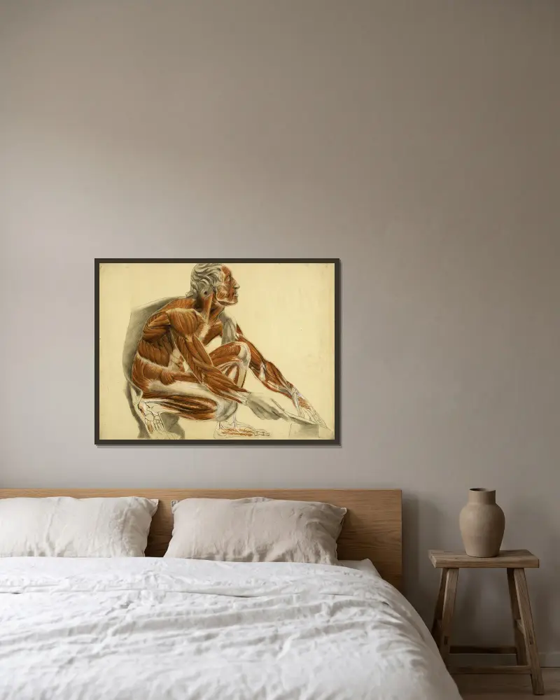 Anatomisk studie. Hukande flådd man åt höger av Arthur-Joseph Gueniot inramad på en vägg