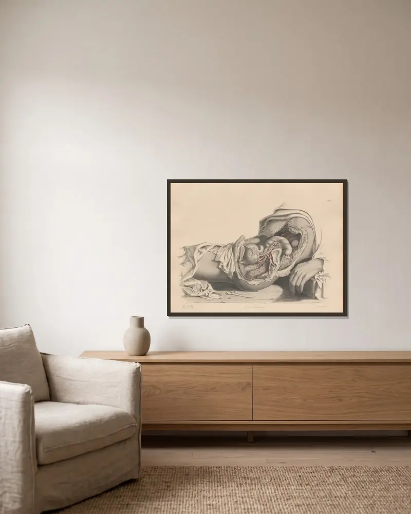 Die Arterien der weiblichen Beckenorgane von Joseph Maclise gerahmt an einer Wand