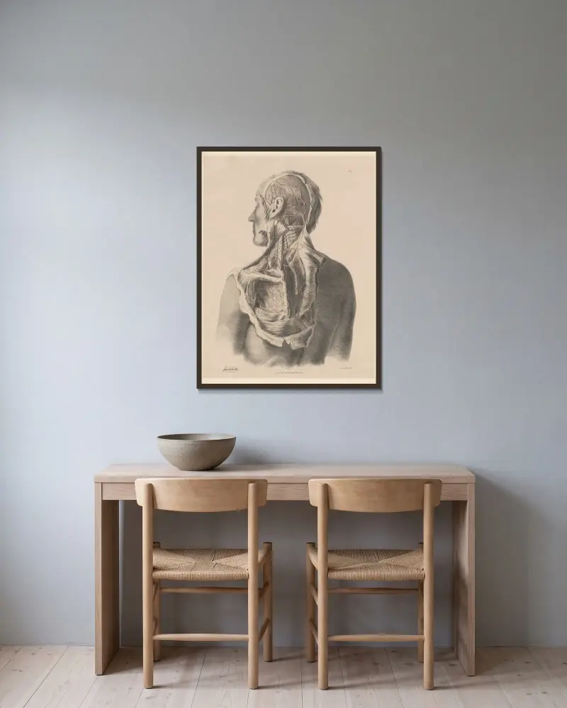Artärerna på sidan och baksidan av huvudet av Joseph Maclise inramad på en vägg