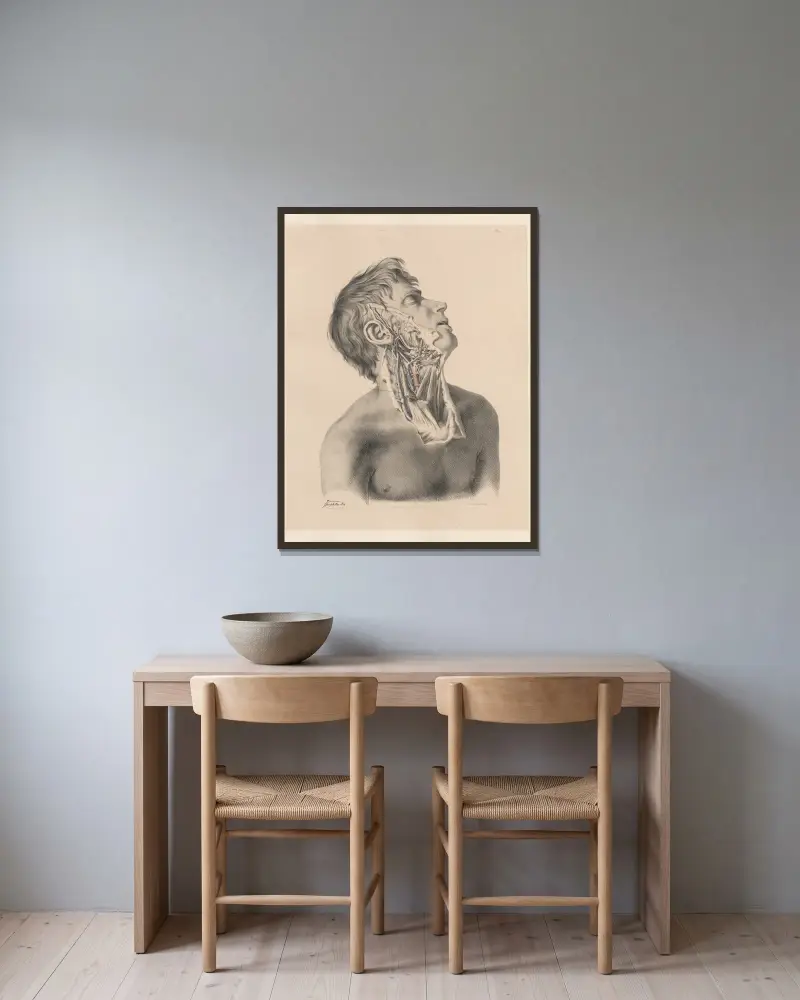 Den yttre halspulsådern på höger sida, med tillhörande vener och nerver av Joseph Maclise inramad på en vägg