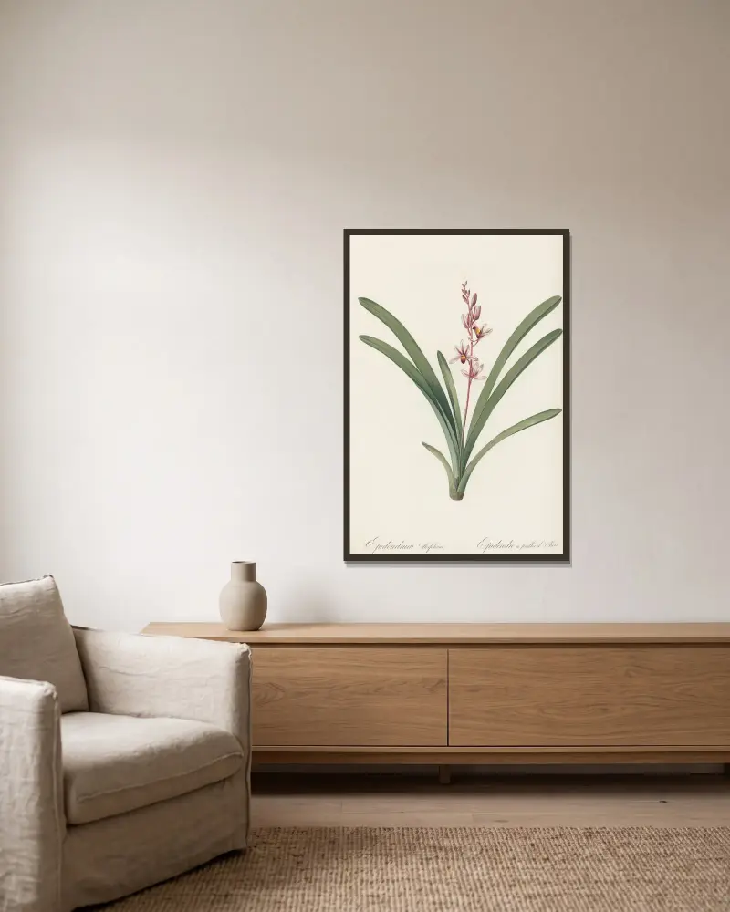 Epidendrum aloifolium av Pierre Joseph Redouté inramad på en vägg