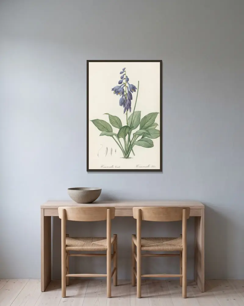 Hemerocallis Caerulea av Pierre Joseph Redouté inramad på en vägg